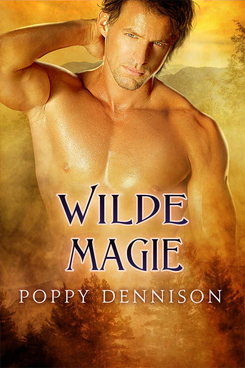 Book cover of Wilde Magie (Triade #4)