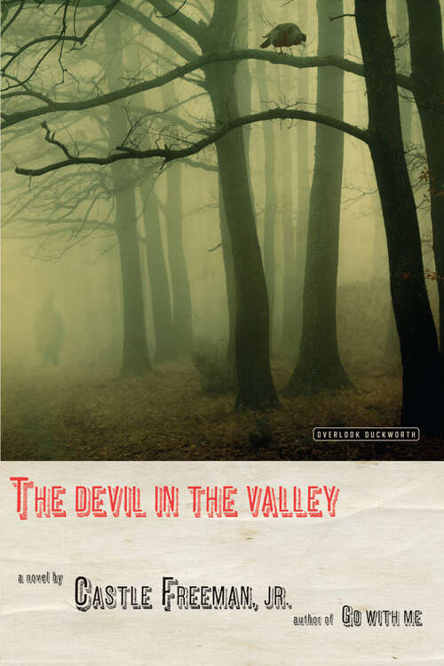Book cover of The Devil in the Valley: A Novel