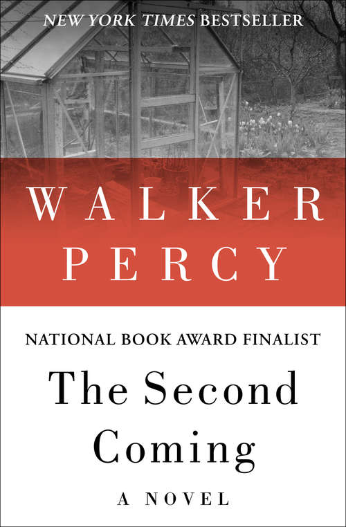 Book cover of The Second Coming: A Novel