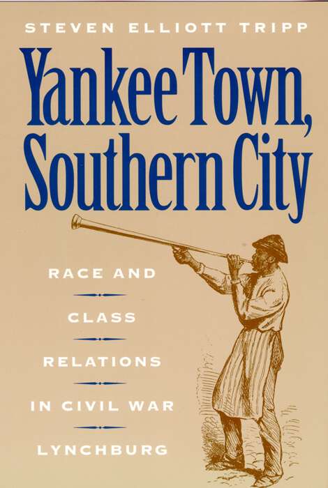 Yankee Town, Southern City: Race and Class Relations in Civil War Lynchburg (The American Social Experience #14)