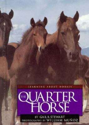 Book cover of The Quarter Horse (Learning About Horses)