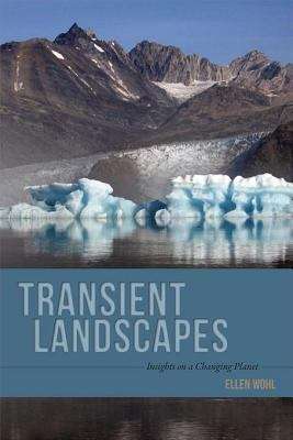 Book cover of Transient Landscapes