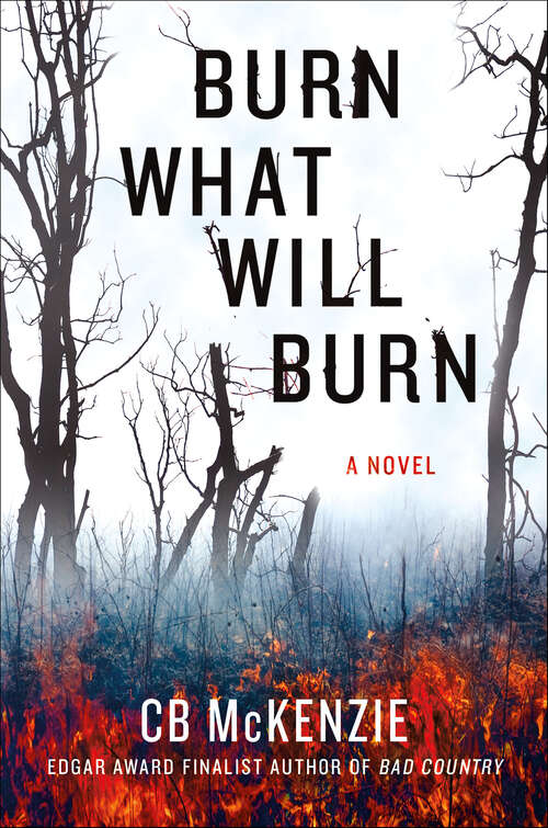 Book cover of Burn What Will Burn: A Novel