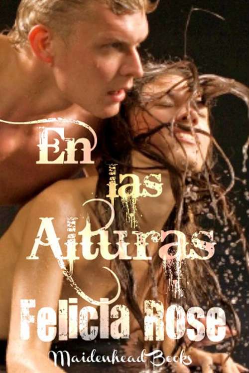 Book cover of En las alturas