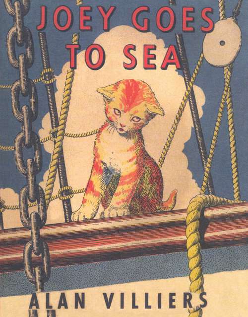 Book cover of Joey Goes to Sea