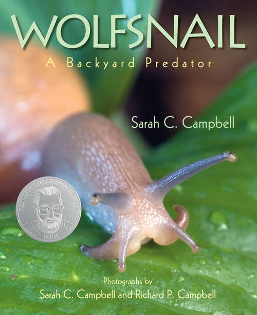 Book cover of Wolfsnail: A Backyard Predator