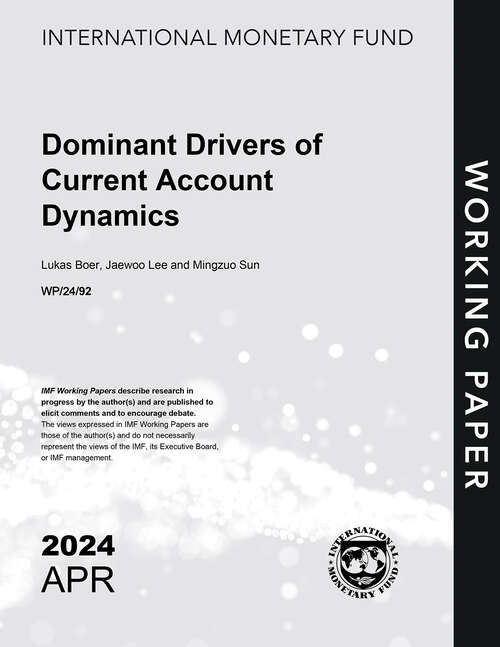 Book cover of Dominant Drivers of Current Account Dynamics