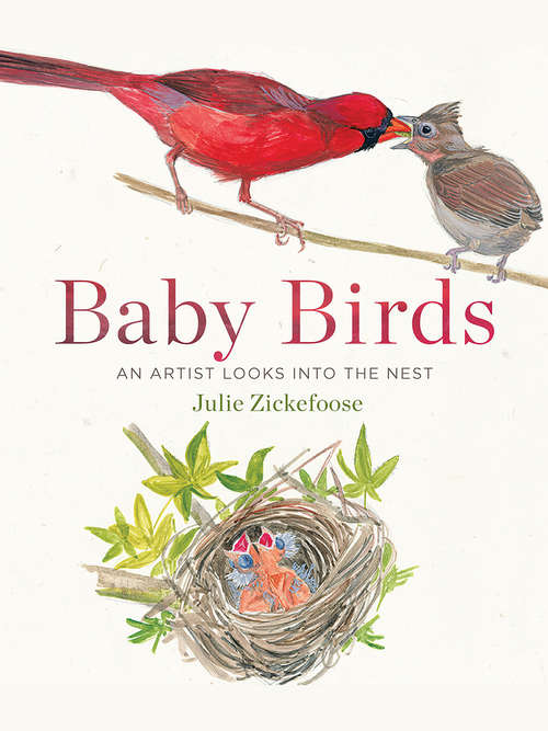 Book cover of Baby Birds: An Artist Looks into the Nest