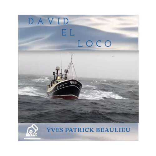 Book cover of David el loco