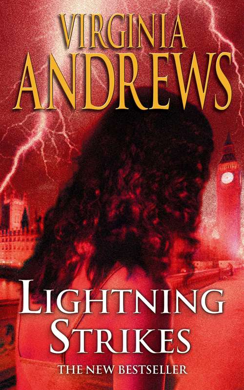 Book cover of Lightning Strikes (Hudson Family #2)