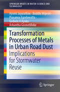 Transformation Processes of Metals in Urban Road Dust: Implications for Stormwater Reuse (SpringerBriefs in Water Science and Technology)