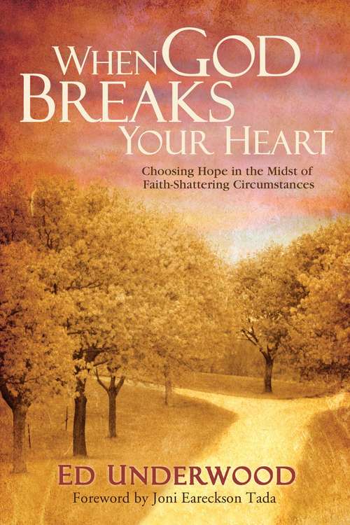 Book cover of When God Breaks Your Heart