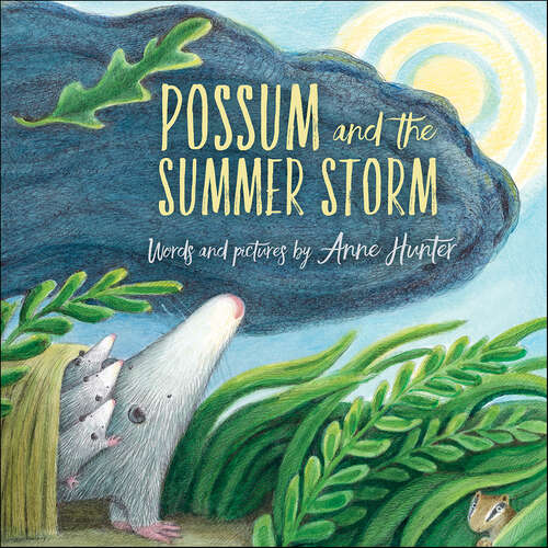 Book cover of Possum and the Summer Storm
