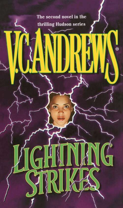 Book cover of Lightning Strikes (Hudson #2)