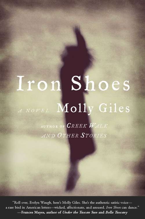 Book cover of Iron Shoes