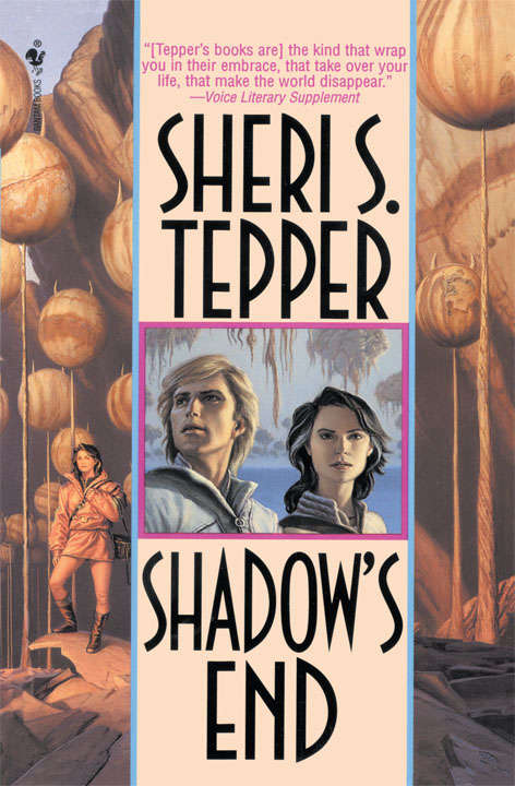 Book cover of Shadow's End