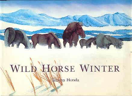 Book cover of Wild Horse Winter