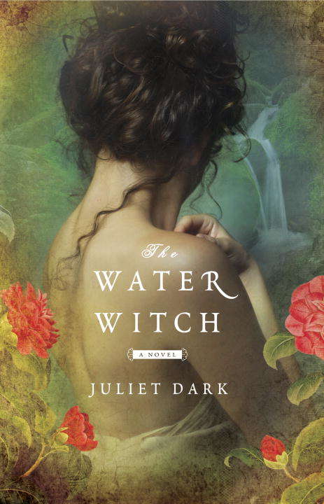 Book cover of The Water Witch