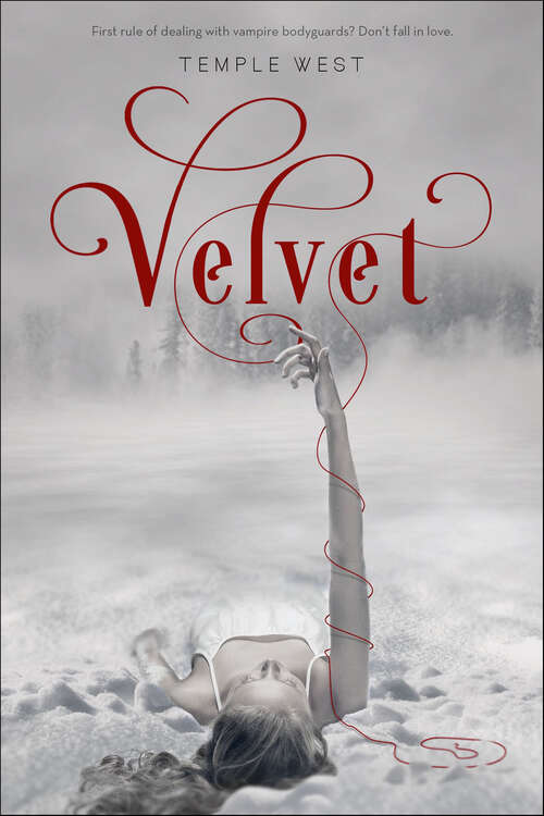 Book cover of Velvet
