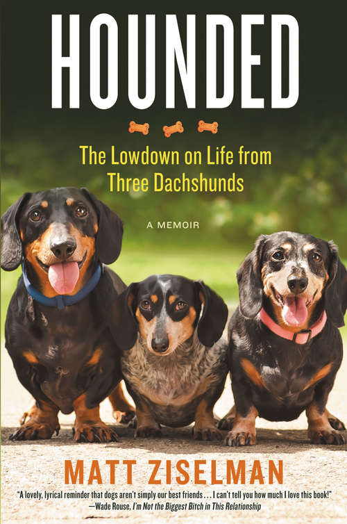 Book cover of Hounded