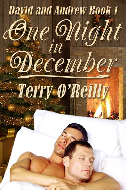 David and Andrew Book 1: One Night in December (David And Andrew Ser. #1)