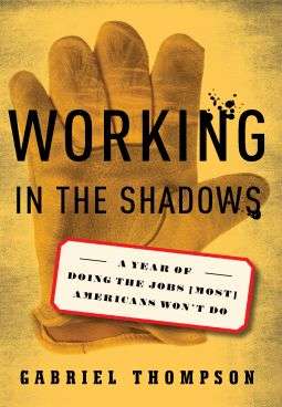 Book cover of Working in the Shadows