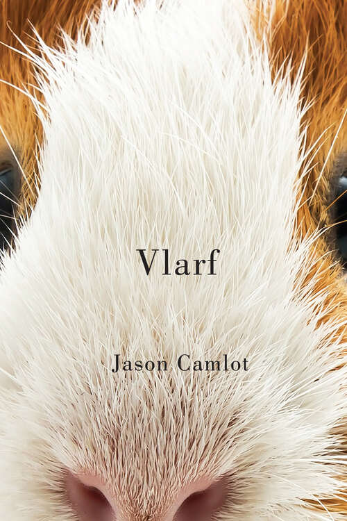 Book cover of Vlarf (Hugh MacLennan Poetry Series #66)