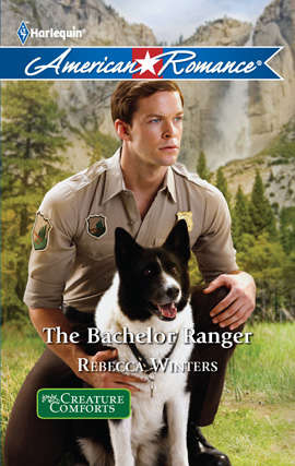 Cover image of The Bachelor Ranger