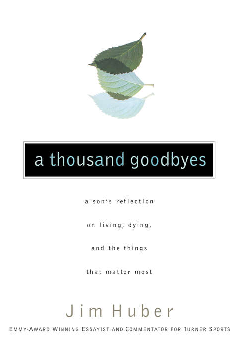 Book cover of A Thousand Goodbyes