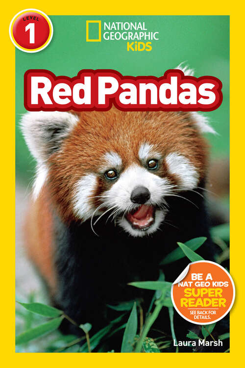 Book cover of Red Pandas (Readers)