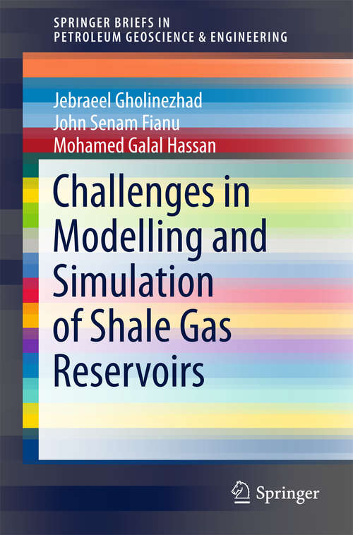 Challenges in Modelling and Simulation of Shale Gas Reservoirs (Springerbriefs In Petroleum Geoscience And Engineering Ser.)