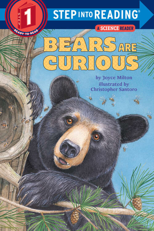 Book cover of Bears Are Curious