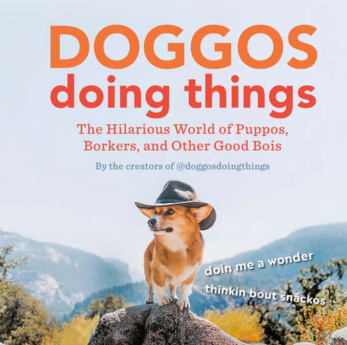 Book cover of Doggos Doing Things: The Hilarious World of Puppos, Borkers, and Other Good Bois