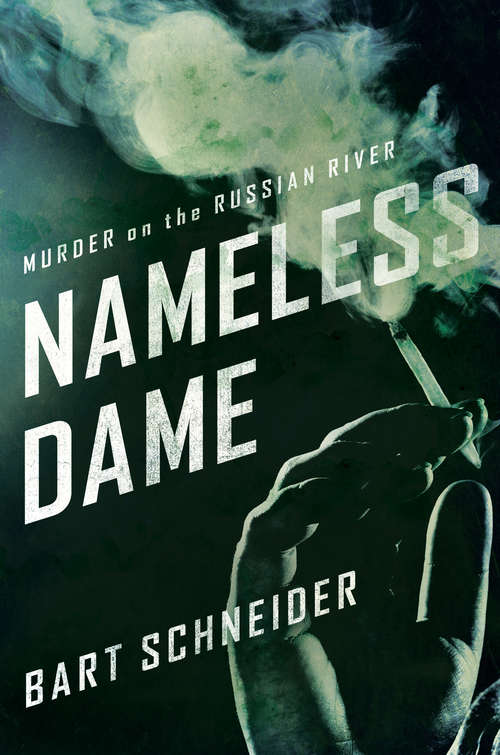 Book cover of Nameless Dame
