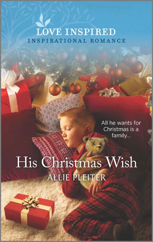 His Christmas Wish (Wander Canyon #3)