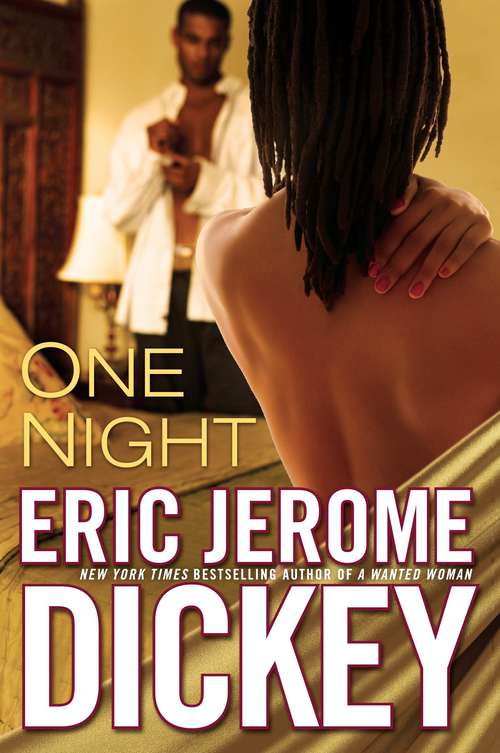 Book cover of One Night