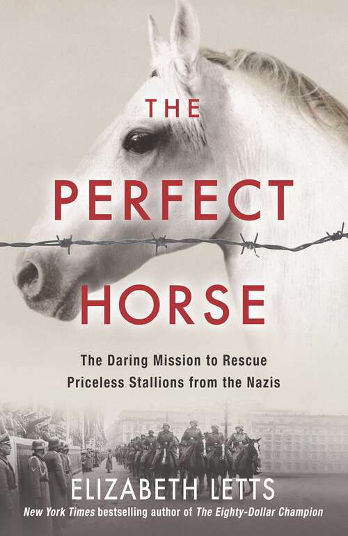 Book cover of Perfect Horse: The Daring U.S. Mission to Rescue the Priceless Stallions Kidnapped by the Nazis