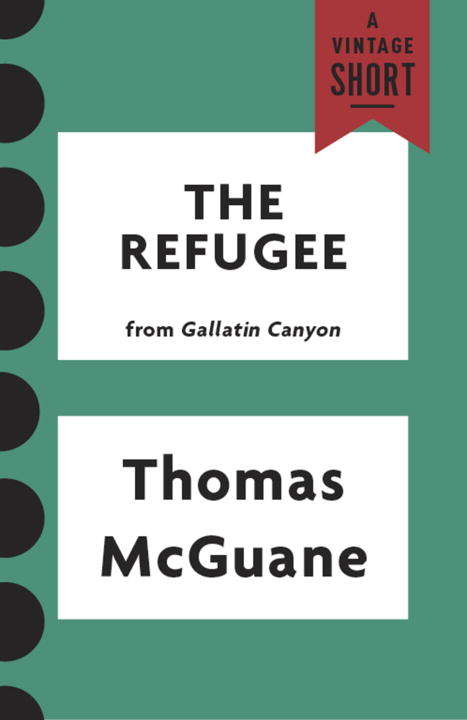 Book cover of The Refugee