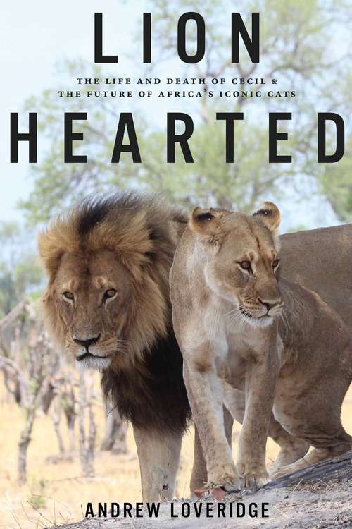 Book cover of Lion Hearted: The Life and Death of Cecil & the Future of Africa's Iconic Cats