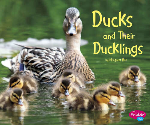 Book cover of Ducks and Their Ducklings: A 4d Book (Animal Offspring Ser.)