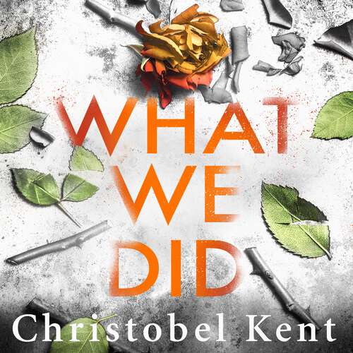 Book cover of What We Did: A gripping, compelling psychological thriller with a nail-biting twist