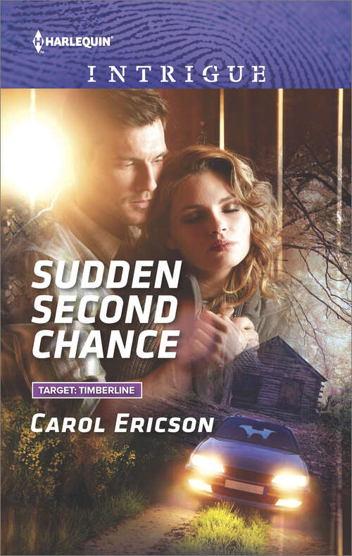 Book cover of Sudden Second Chance: Dark Whispers Sudden Second Chance Suspicious Activities (Target: Timberline #2)