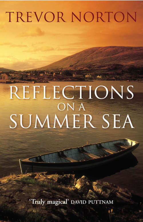 Book cover of Reflections On A Summer Sea
