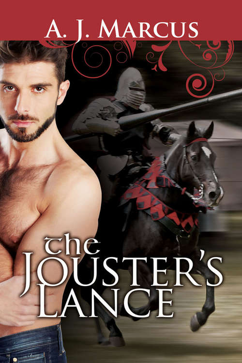 Book cover of The Jouster's Lance