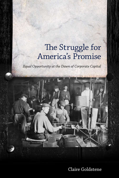 Book cover of The Struggle for America's Promise: Equal Opportunity at the Dawn of Corporate Capital (EPUB Single)