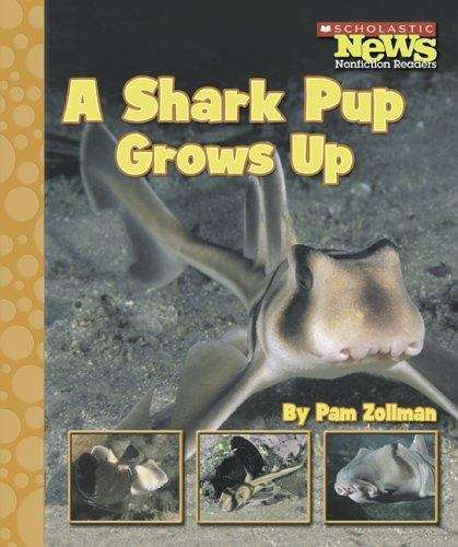Book cover of A Shark Pup Grows Up