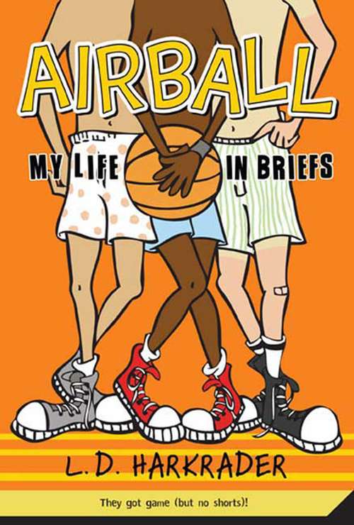 Book cover of Airball