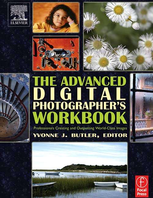 Book cover of The Advanced Digital Photographer's Workbook: Professionals Creating and Outputting World-Class Images
