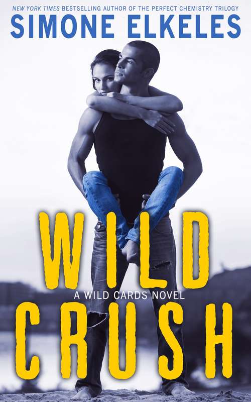 Book cover of Wild Crush  (A Wild Cards Novel)