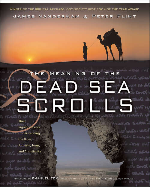 Book cover of The Meaning of the Dead Sea Scrolls: Their Significance For Understanding the Bible, Judaism, Jesus, and Christianity
